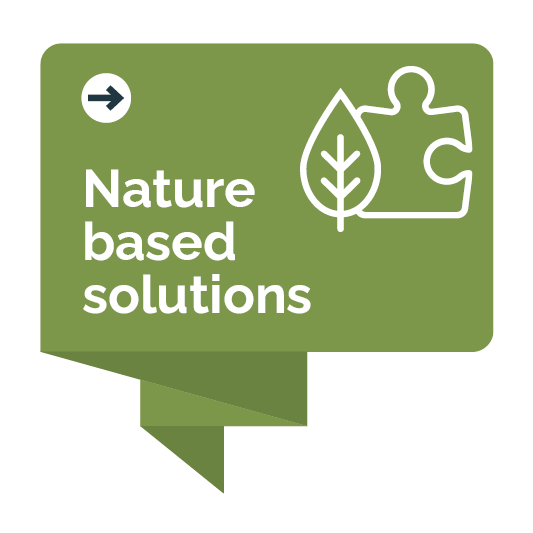 Nature based solutions